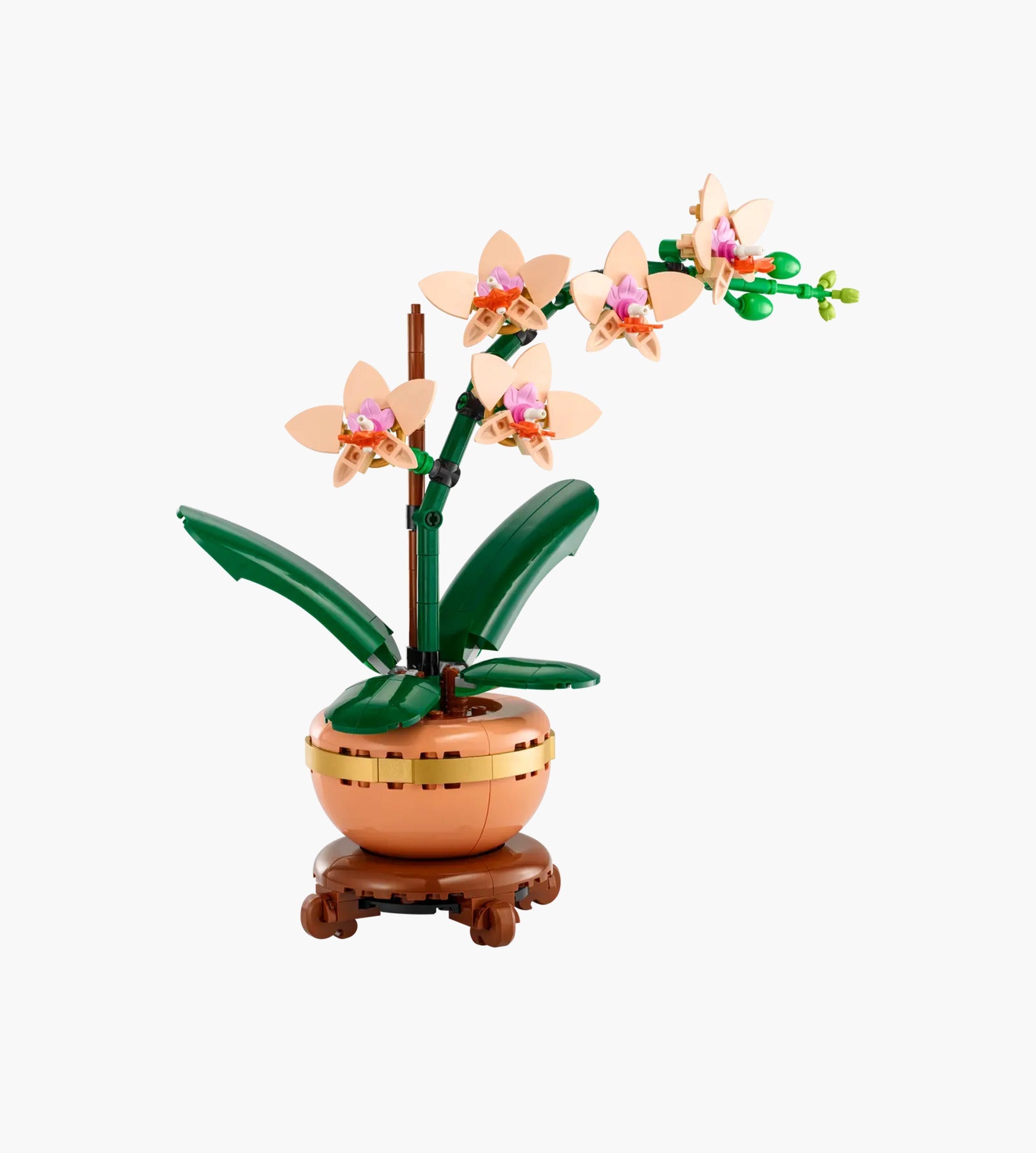 LEGO Botanicals Miniorchidee